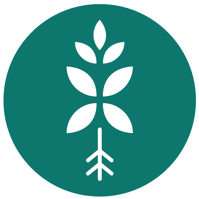 Bloombox Club
