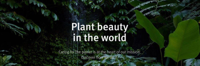 Aveda banner
