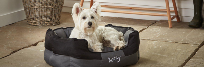 Bunty Pet Products banner