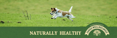 James Wellbeloved banner