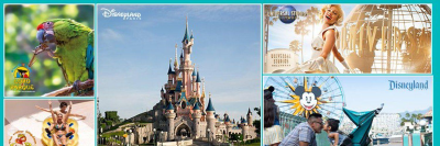 AttractionTix banner