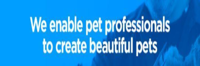 Christies Direct banner