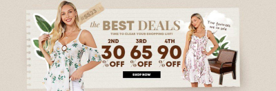 DressLily banner
