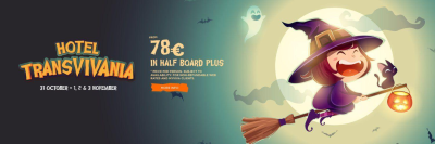 Hotels VIVA banner