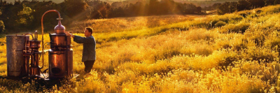 L'OCCITANE banner