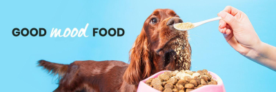 Pooch & Mutt banner