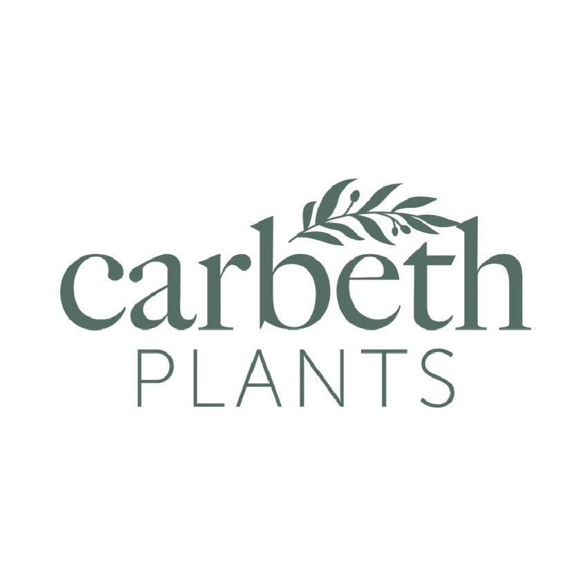 Carbeth Plants