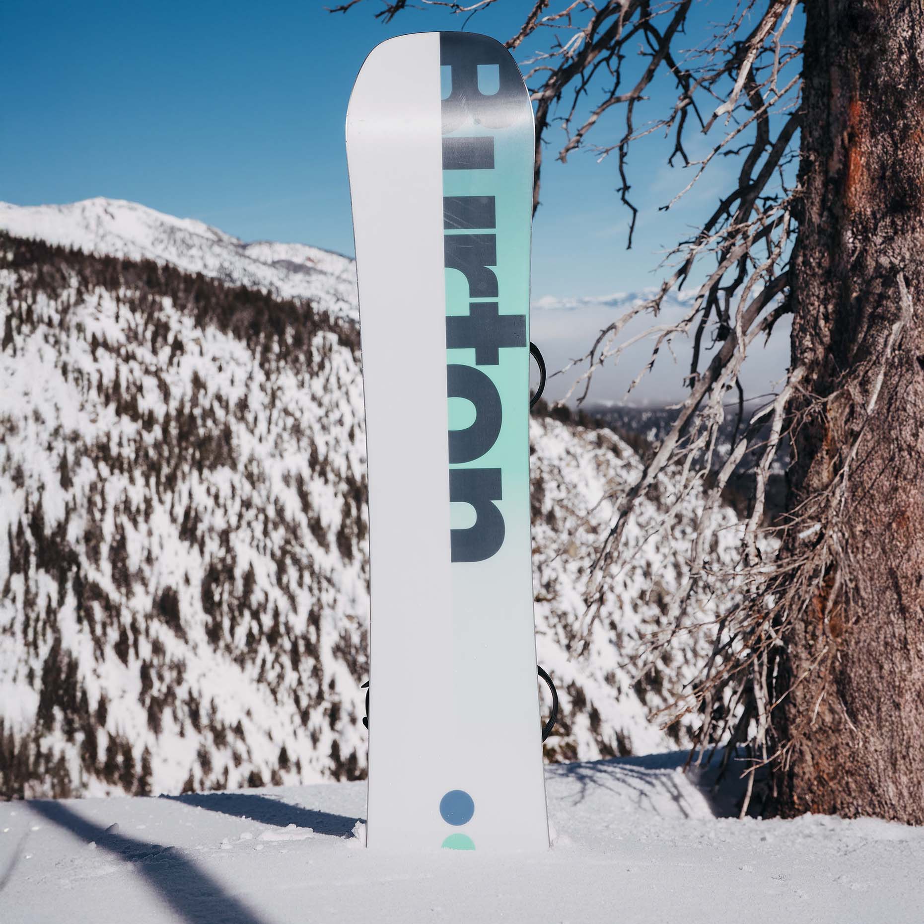10% off - Absolute Snow NHS Promo Code [NO LOGIN] July 2026