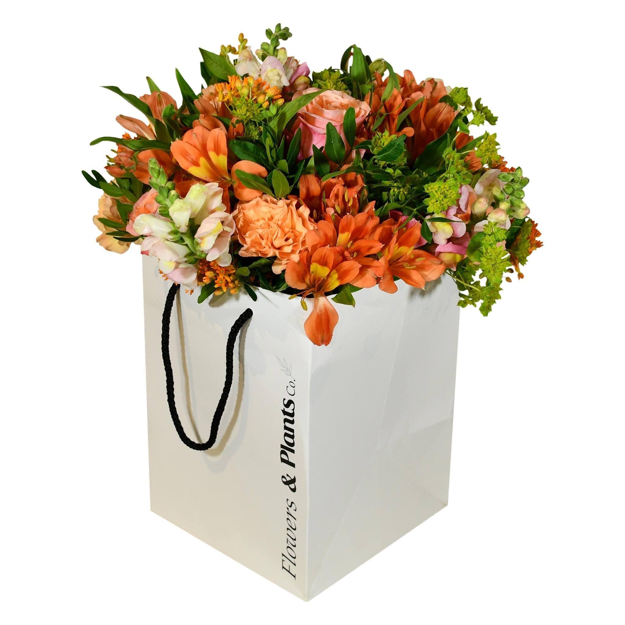 Flowers & Plants Co.