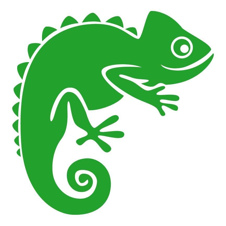 Internet Reptile