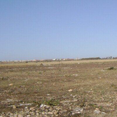 Monterrain