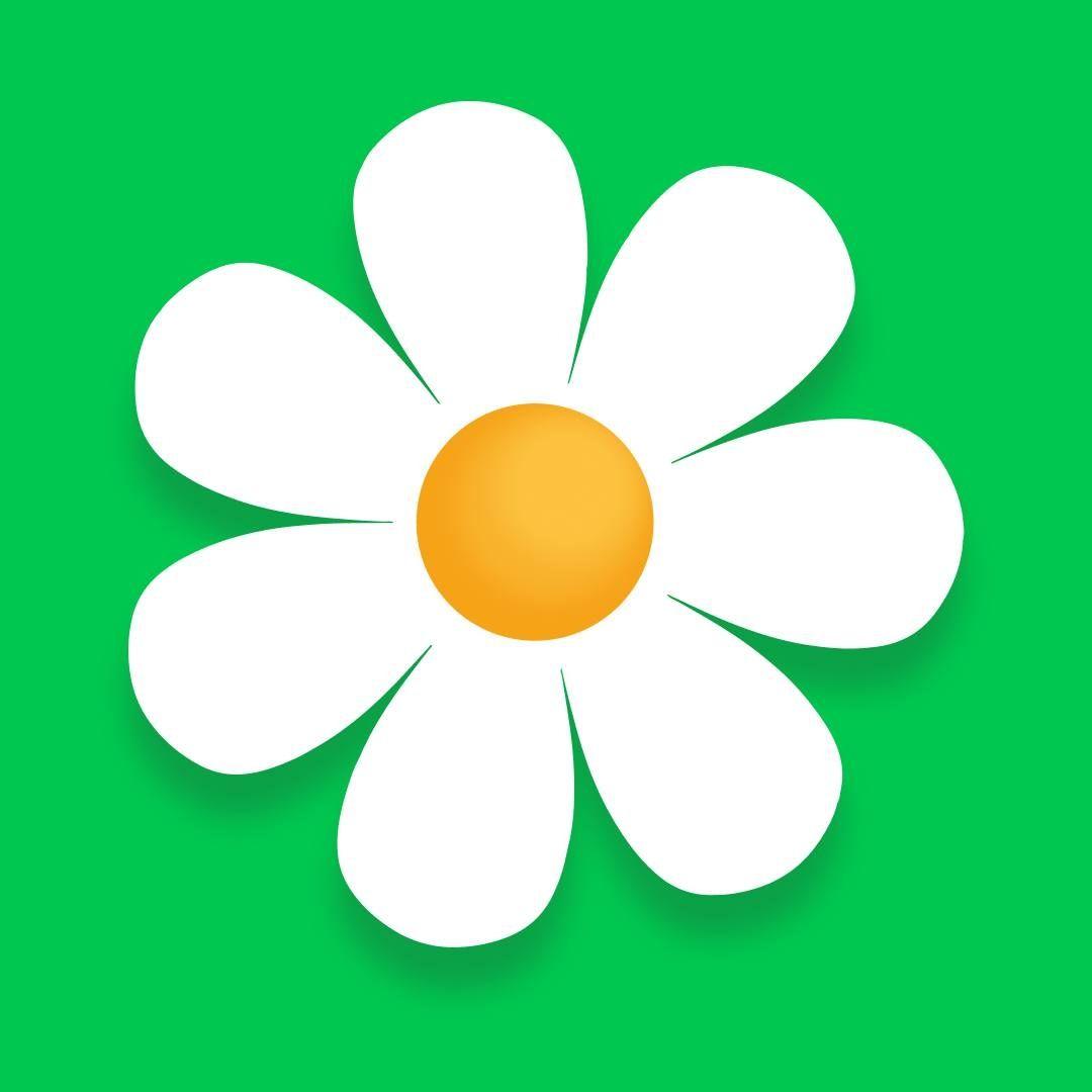Myflowers